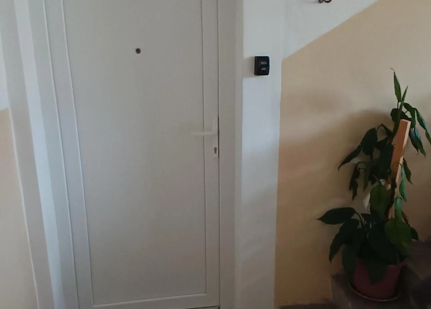 Apartment Fontana Felicita Zadar 0*,